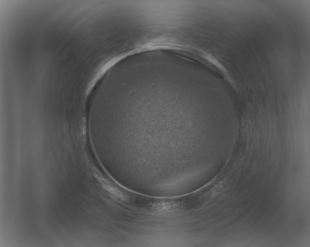 X0000058761461200510031006