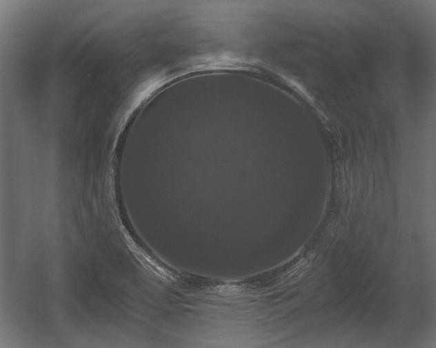 X0000058761463200510031006