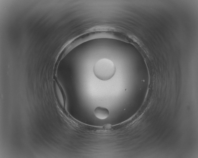 X0000058761465200510031006