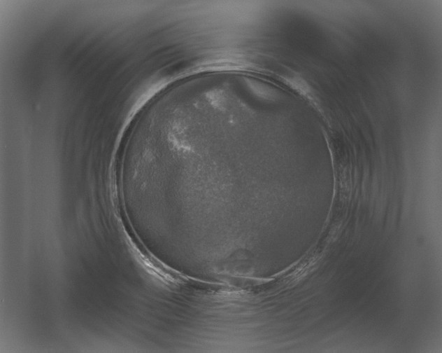 X0000058761466200510031006