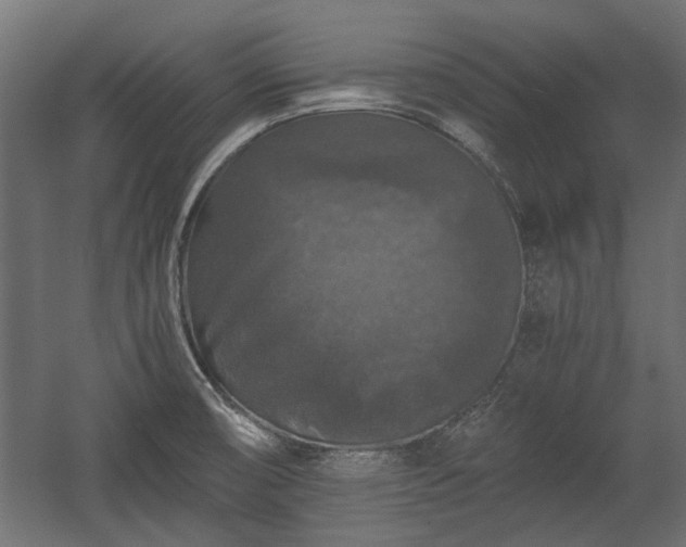 X0000058761474200510031006