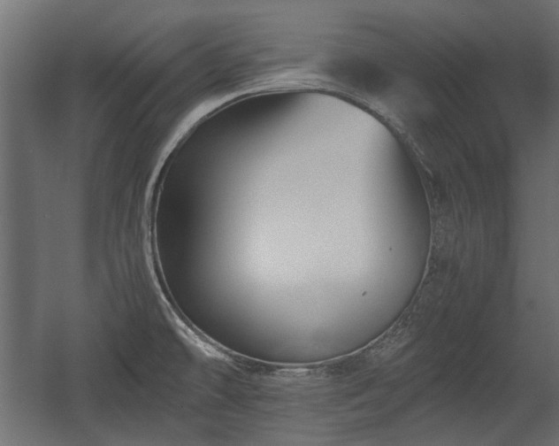 X0000058761478200510031005