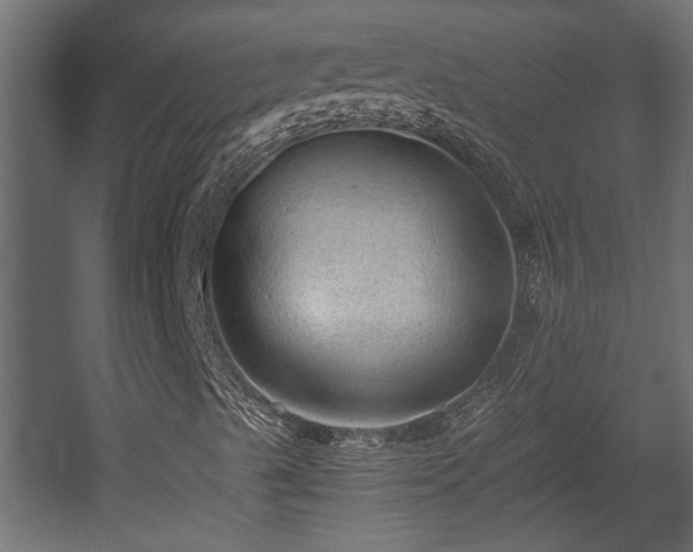 X0000058761489200510031004