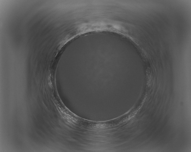 X0000058761497200510031005