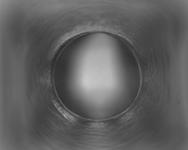 X0000058761499200510031005