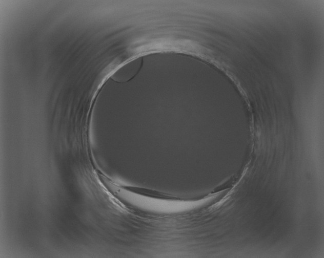X0000058761529200510031005