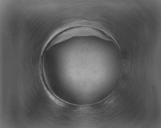 X0000058761531200510031005
