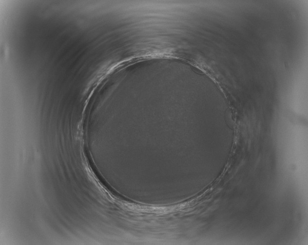 X0000058760002200510071528