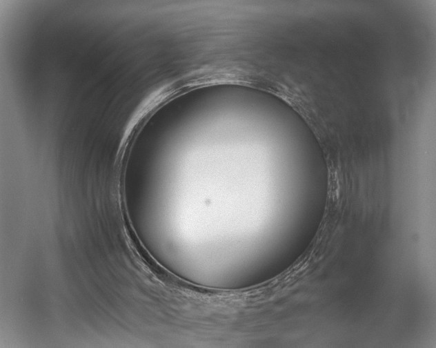 X0000058760004200510071528