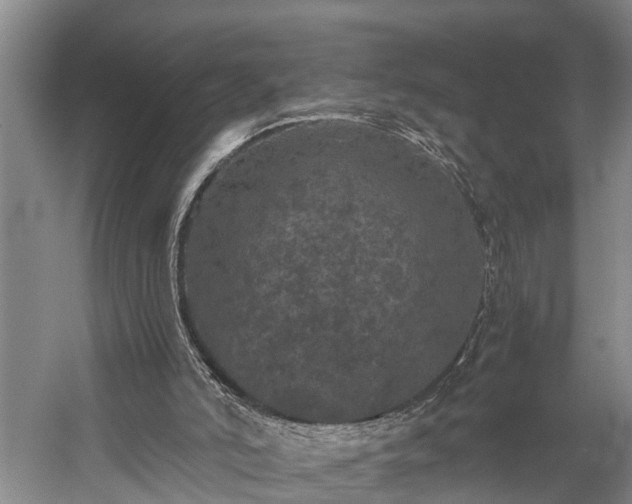 X0000058760006200510071528
