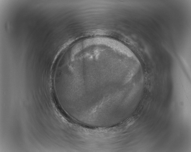 X0000058760012200510071528