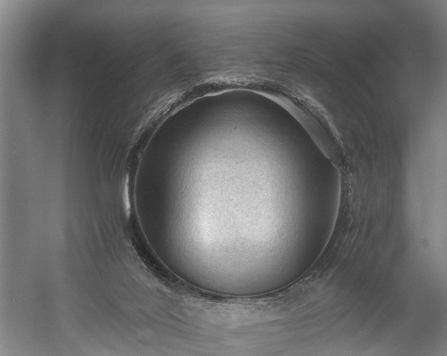 X0000058760020200510071528