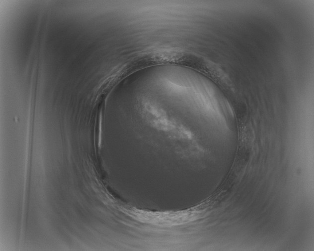 X0000058760027200510071528