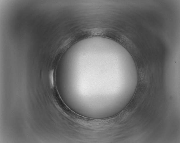 X0000058760028200510071528