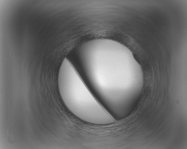X0000058760029200510071528