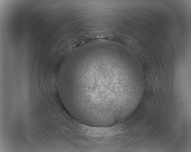 X0000058760034200510071528