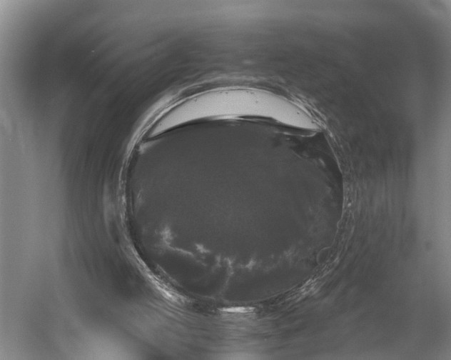 X0000058760053200510071527