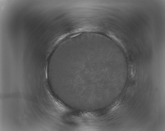 X0000058760062200510071527