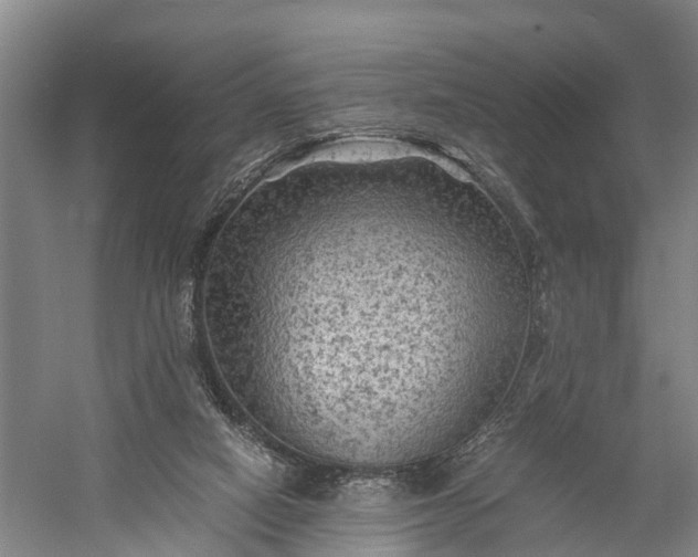 X0000058760066200510071527