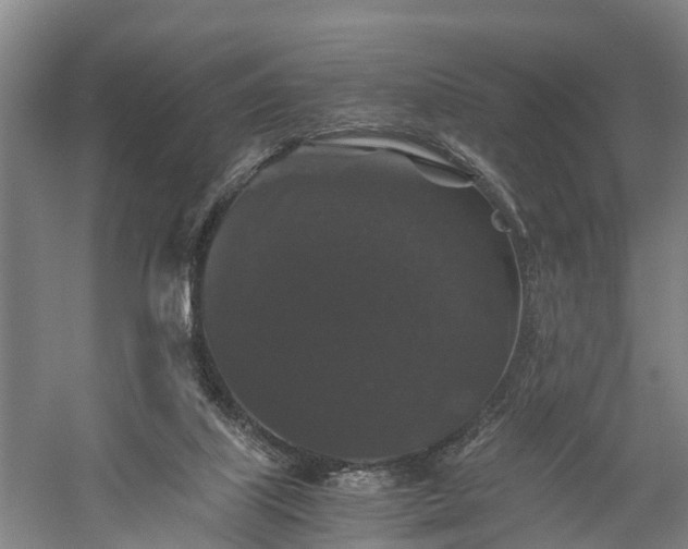 X0000058760067200510071527