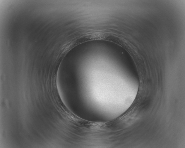 X0000058760096200510071527