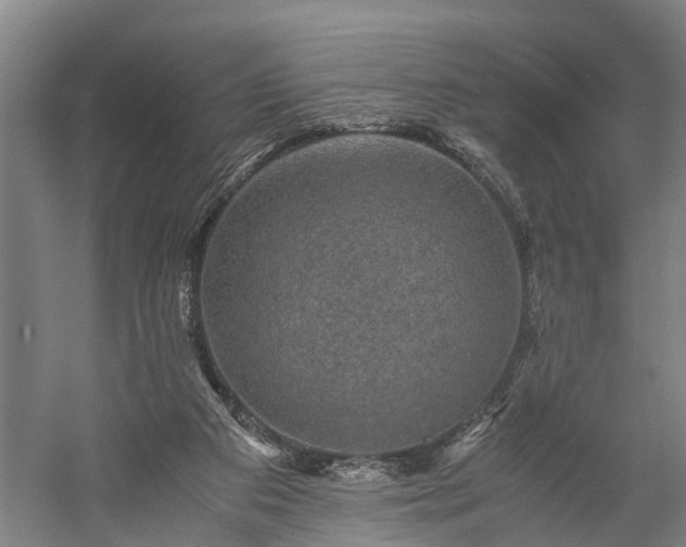 X0000058760113200510071526