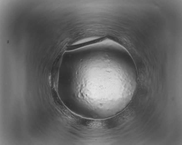 X0000058760123200510071526