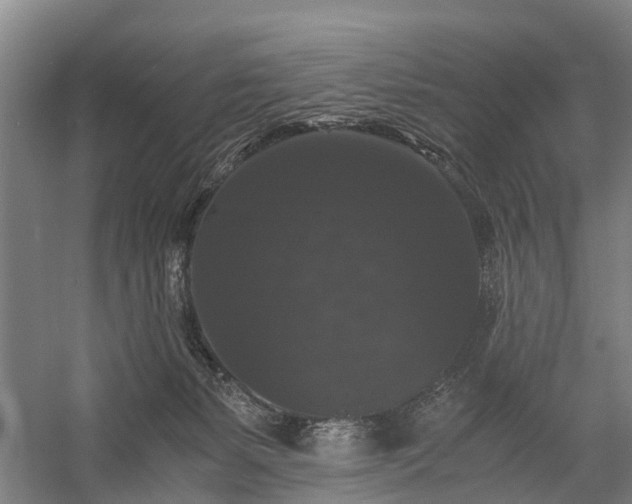 X0000058760127200510071526