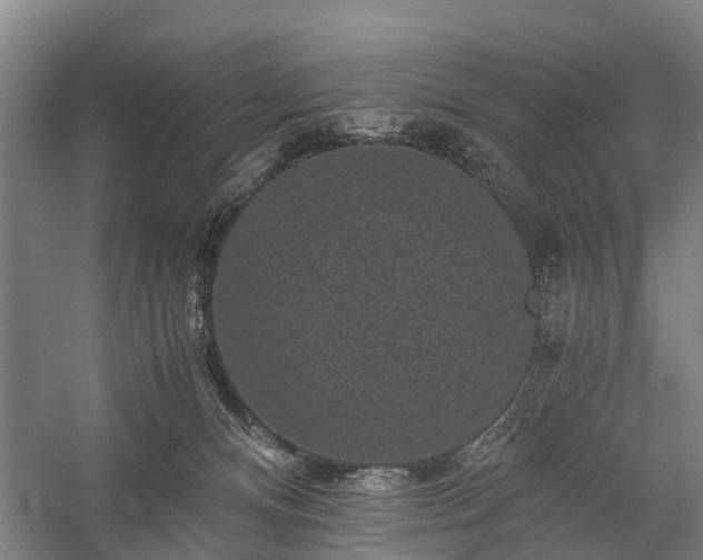 X0000058760128200510071526