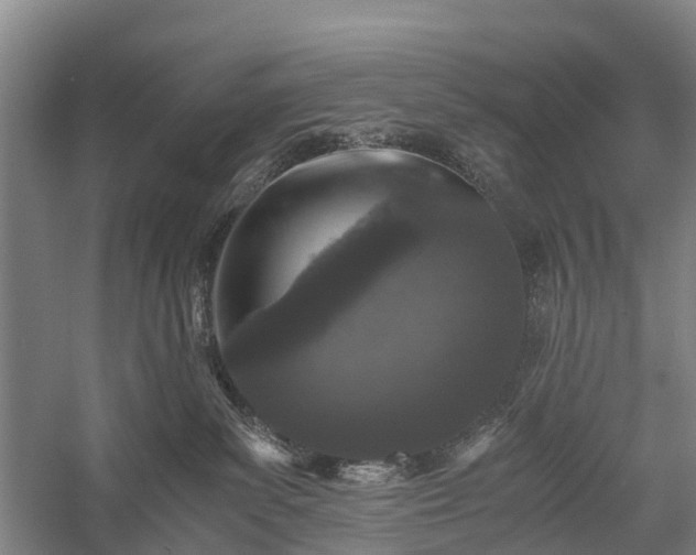 X0000058760139200510071526
