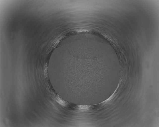X0000058760144200510071526