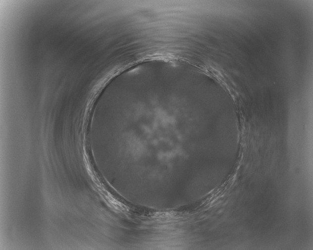 X0000058760145200510071525