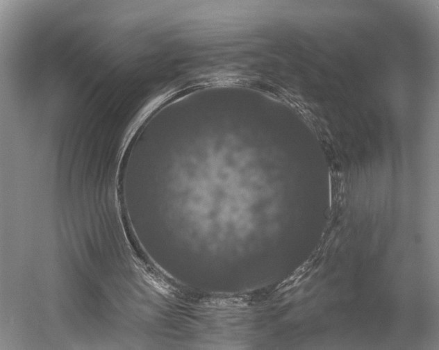 X0000058760147200510071525