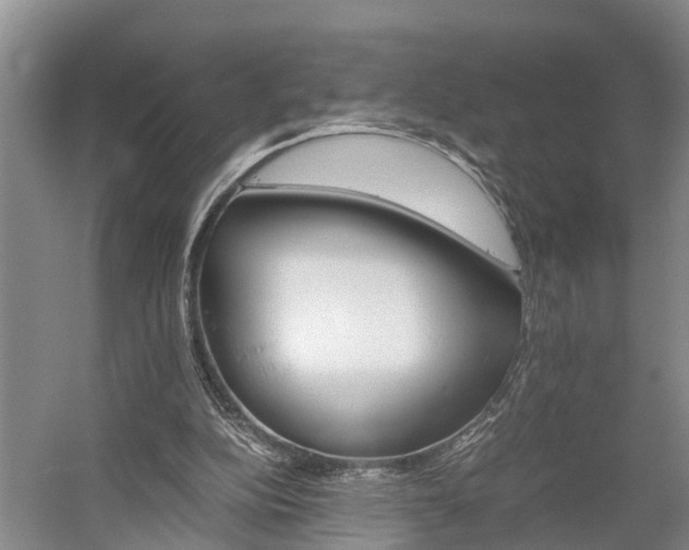 X0000058760152200510071525