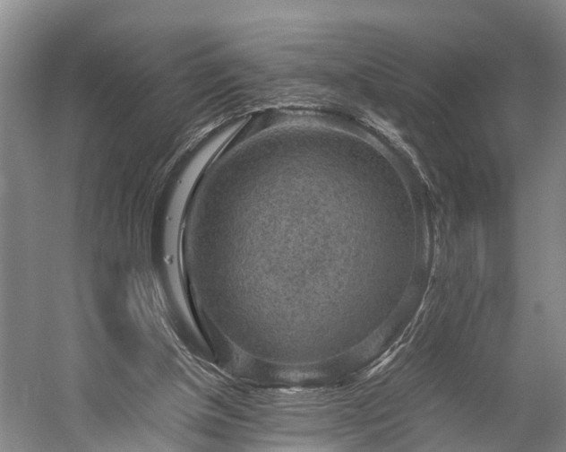X0000058760154200510071525