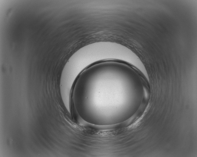 X0000058760186200510071526