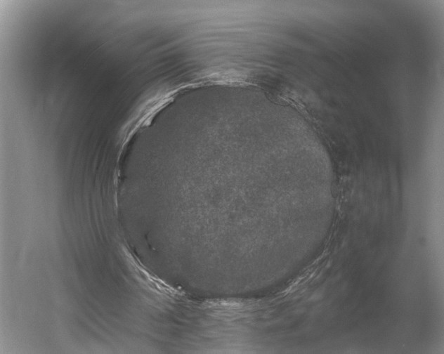 X0000058760194200510071525