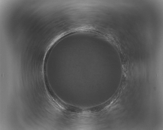 X0000058760196200510071525