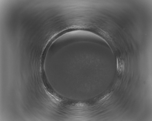 X0000058760204200510071525