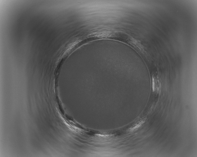 X0000058760205200510071525