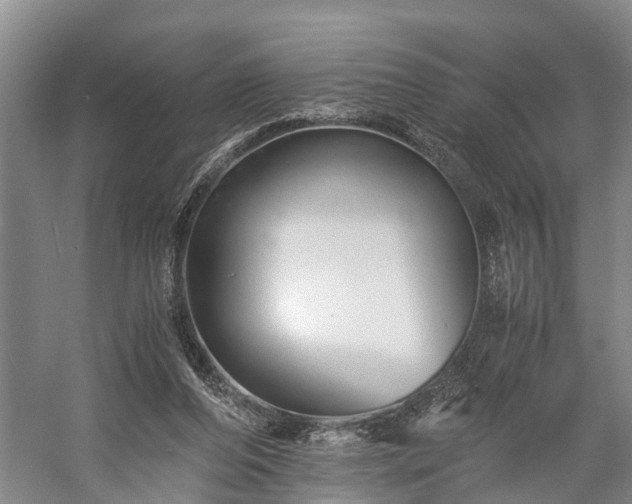 X0000058760208200510071525