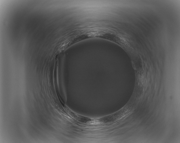 X0000058760219200510071524