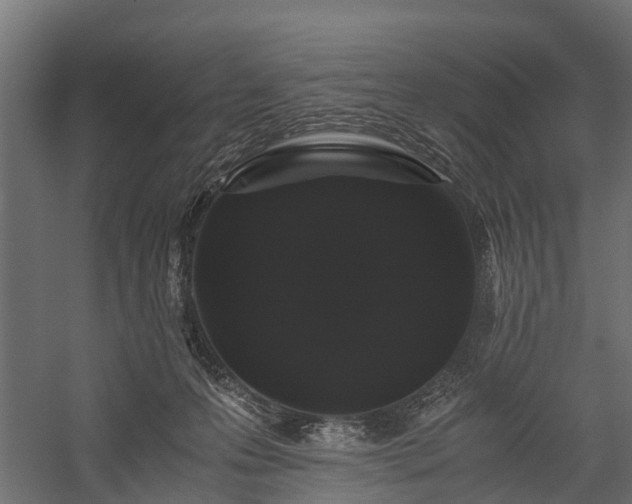 X0000058760223200510071524