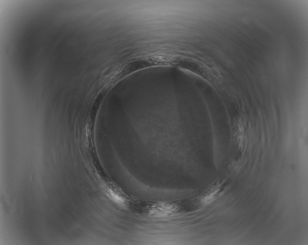 X0000058760235200510071524