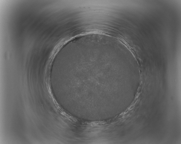 X0000058760241200510071523