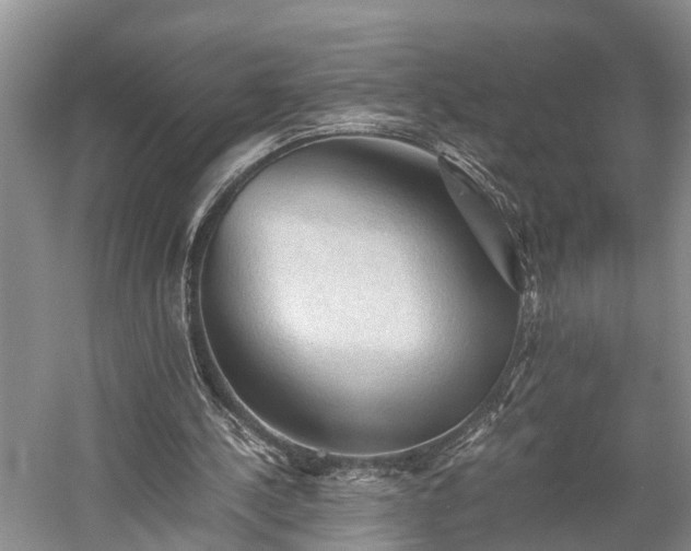 X0000058760244200510071523