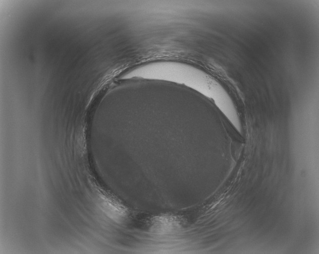 X0000058760250200510071523