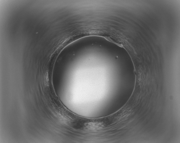 X0000058760251200510071523