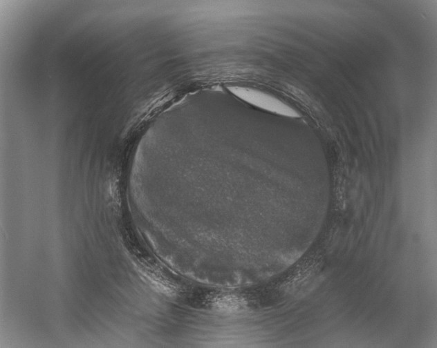 X0000058760258200510071524