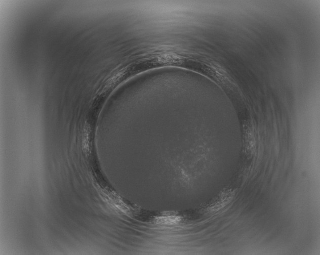 X0000058760266200510071524
